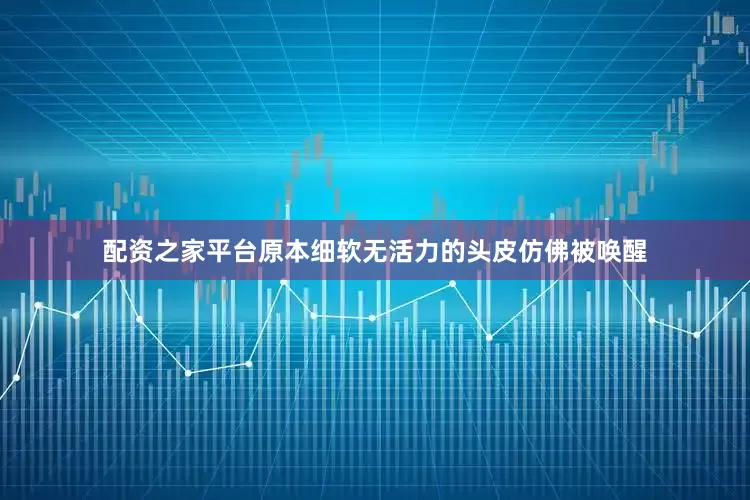 配资之家平台原本细软无活力的头皮仿佛被唤醒