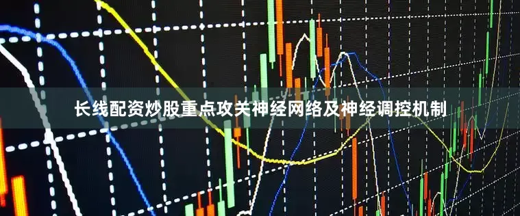 长线配资炒股重点攻关神经网络及神经调控机制