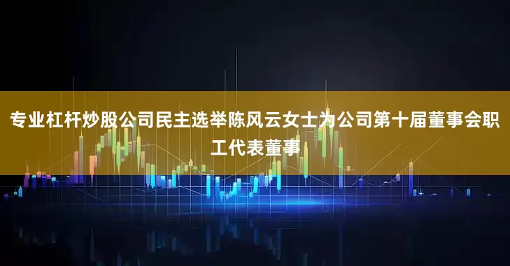 专业杠杆炒股公司民主选举陈风云女士为公司第十届董事会职工代表董事