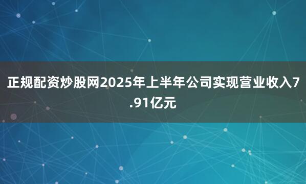 正规配资炒股网2025年上半年公司实现营业收入7.91亿元